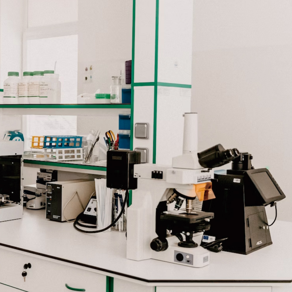 Mwh Lab Medwish.com